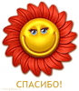 Солнышко, солнце Солнышко Спасибо! аватар