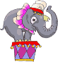 Цирк Слон на барабане аватар