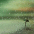 Грибы Гриб под дождём аватар
