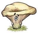 Грибы Грустный гриб аватар