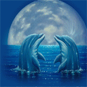 Дельфины Два дельфина на фоне луны аватар