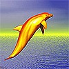 Дельфины Дельфин в прыжке на закате аватар