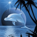 Дельфины Дельфин освещен звездой аватар