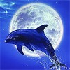 Дельфины Игра голубого дельфина на фоне луны аватар