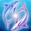 Дельфины Два дельфина прыгают, играют аватар