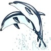 Дельфины Два дельфина взмывают в небо аватар
