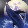 Дельфины Дельфин на фоне луны аватар