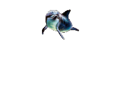 Дельфины В морских глубинах дельфины аватар