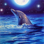 Дельфины Дельфин в лунную и  звёздную ночь аватар