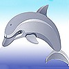Дельфины Дельфин в прыжке аватар