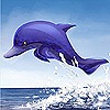 Дельфины Дельфин в прыжке над волной аватар