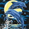 Дельфины Два дельфина прыгают на фоне луны аватар