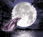 Дельфины Дельфин прыгает на фоне луны аватар