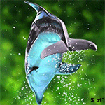 Дельфины Дельфин на фоне водорослей аватар