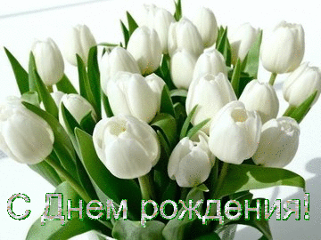 День рождения С Днем рождения! Белые тюльпаны букет аватар