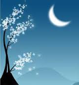 Деревья Ночь, луна, дерево аватар