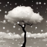 Деревья Облачное дерево под падающим снегом аватар