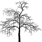 Деревья Чёрное дерево аватар