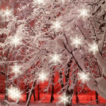 Деревья Снег падает и деревья в шубах стоят аватар