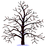 Деревья Дерево в разное время года аватар