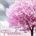 Деревья Свобода...красивое розовое дерево аватар