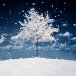 Деревья Дерево в снегу аватар