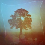 Деревья Одинокое дерево в бирюзовом тумане аватар