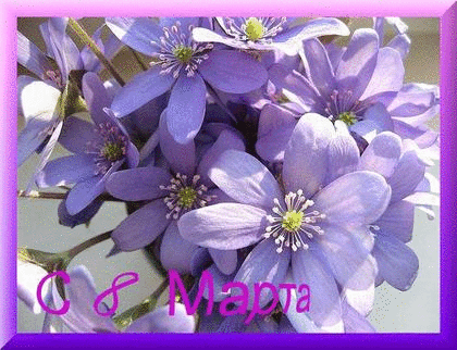 Восьмое марта Открытка с 8 Марта.Сиреневые цветы аватар