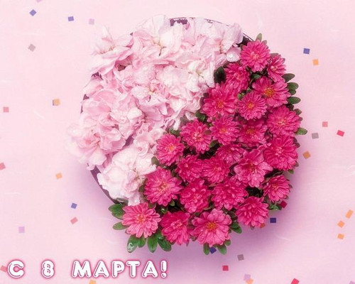 Восьмое марта 8 марта! Цветы для супруги аватар