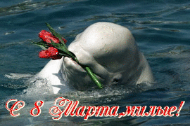 Восьмое марта Поздравление  с 8 марта. Дельфин с цветами аватар
