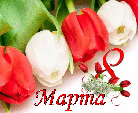 Восьмое марта Открытка с 8 Марта.Красные и белые тюльпаны аватар