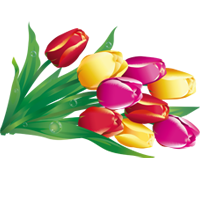Восьмое марта Желто-красные тюльпаны на 8 Марта аватар
