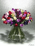 Восьмое марта С праздником, милые женщины! Тюльпаны к 8 марта! аватар