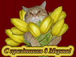 Восьмое марта С праздником 8 марта! Котенок с желтыми тюльпанами аватар