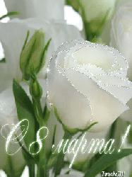 Восьмое марта Белая роза к 8 Марта аватар
