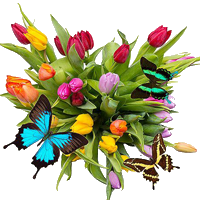 Восьмое марта Тюльпаны с бабочками к 8 Марта аватар