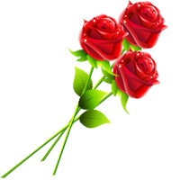 Восьмое марта Три розы  на 8 Марта аватар