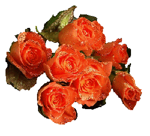 Восьмое марта Семь оранжевых роз аватар