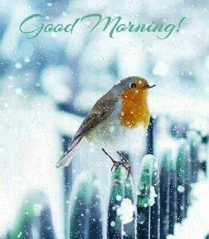 Доброе утро Доброго утра! Снегирь на заборе аватар