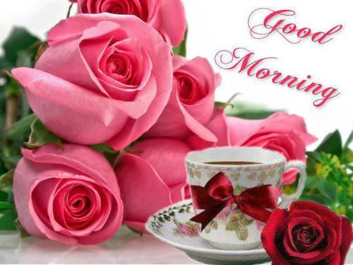 Доброе утро Доброго утра! Розы розовые аватар