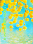 Доброе утро Желтая мимоза над водой ( с добрым утром!) аватар