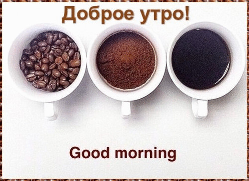 Доброе утро Доброго утра!  Кофе от зерна до напитка аватар