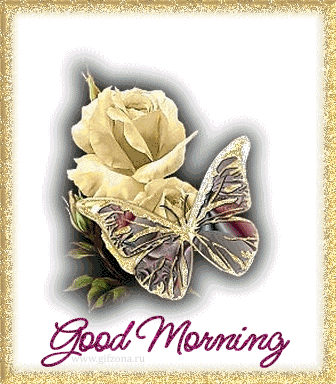 Доброе утро Доброго утра!  Роза с бабочкой аватар