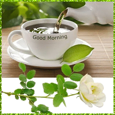 Доброе утро Доброго утра!  Чай и белая роза аватар