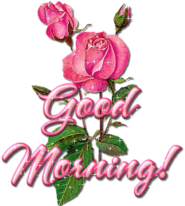 Доброе утро Доброго утра! Красивая роза аватар