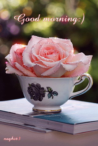 Доброе утро Доброе  утро! Розовые розы в чашечке аватар