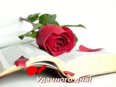 Добрый день Удачного дня. Роза на книге, летящая бабочка аватар