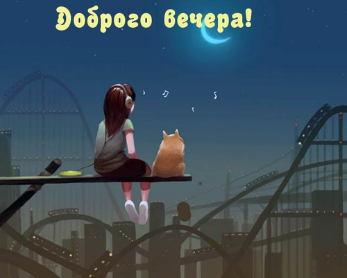 Добрый вечер Доброго вечера! Девочка и кот над вечерним городом аватар