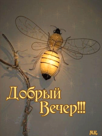 Добрый вечер Добрый вечер!  Пчелка-фонарик аватар