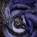 Драконы Спящий синий дракон аватар